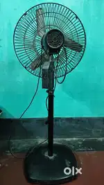 stand fan Rimi