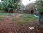 8 Cent plot for sale near kannakezhom muslim palli