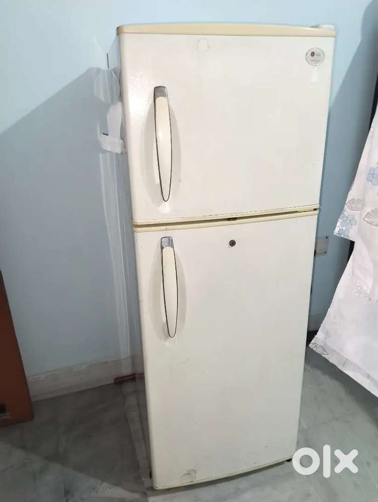 Lg double door