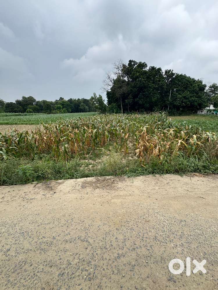 Residential plot in Refinery road