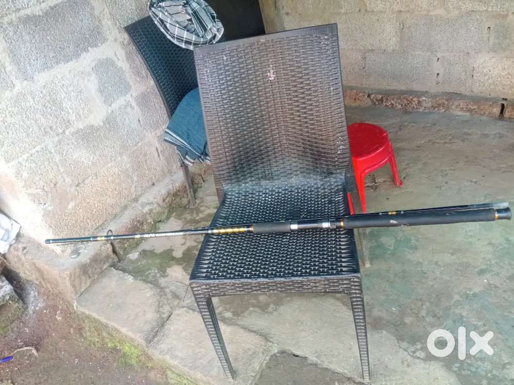 Fishing rod and motor