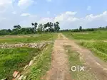Jay ma tara land project