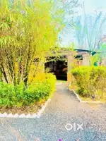 Farm house Lands for Sale – Raipur se 50 km ke andar