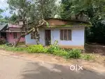 Best plot in thrissur