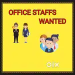 Office Staff