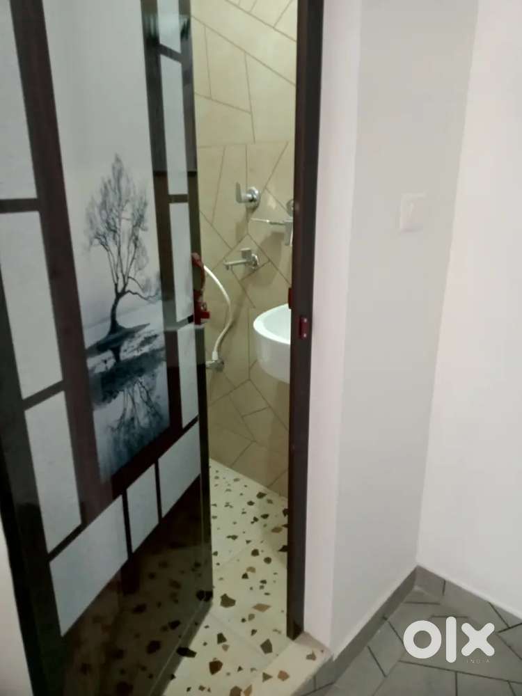 Paying guest and accomodation for ladies