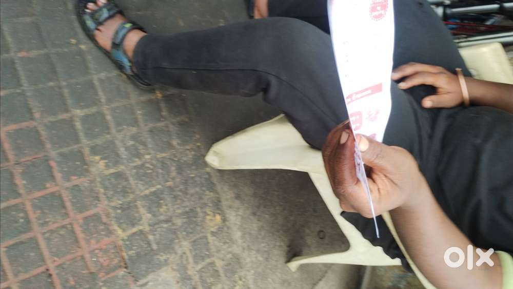 Pamplent distribution