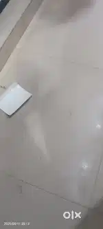 Cng auto driver chahiye