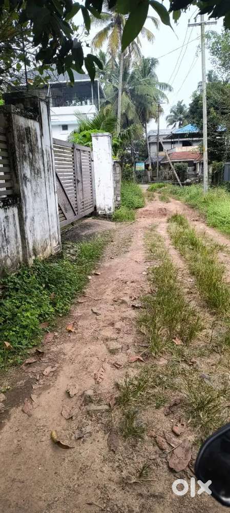 Plot for Sale in madavana,Panangad