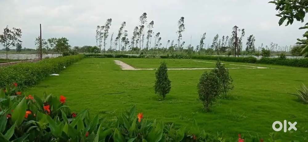 भाटागांव से 7 किलोमीटर की दूरी पर स्थिति 22 गार्डन के साथ  TNC Approve