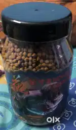 Inch Gold Fish Food