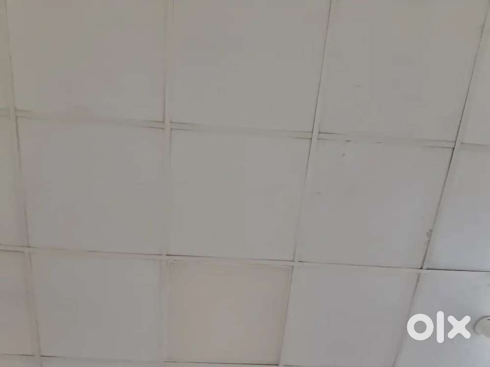 3 BHK House for Rent