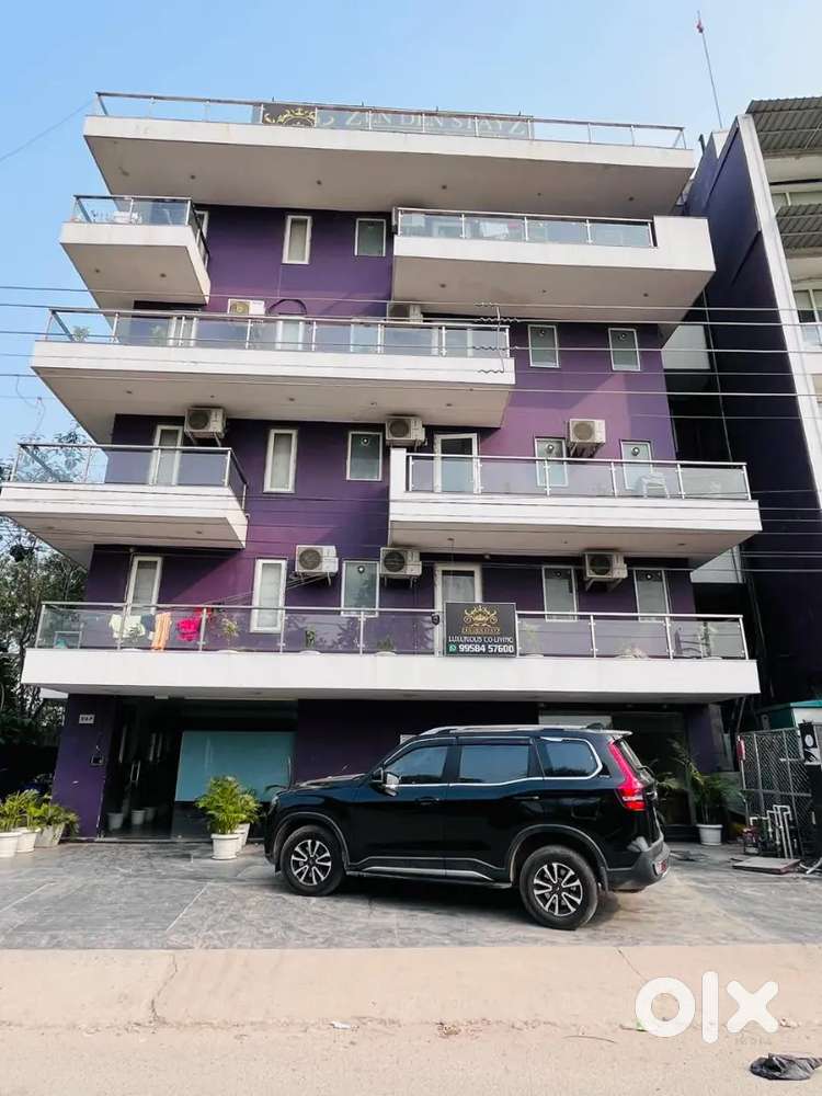 top class pg for student and working / gaming area / gym ,3time food