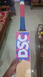 DSC Real Kashmir Willow Bat With 8 to 9 Grains and 3 Guts.