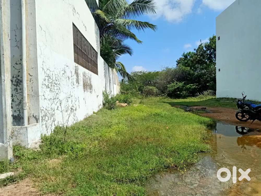 133.33 Gajaalu for sale