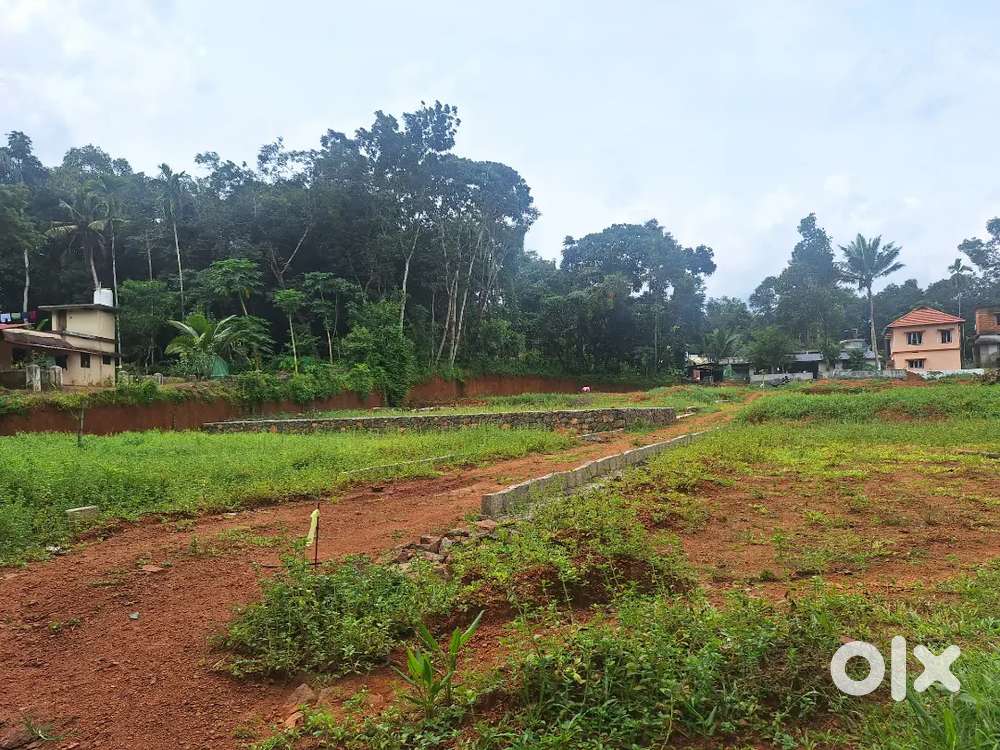 Piravom muncipality kakkad 12 cent houseplot 1.8 lak only