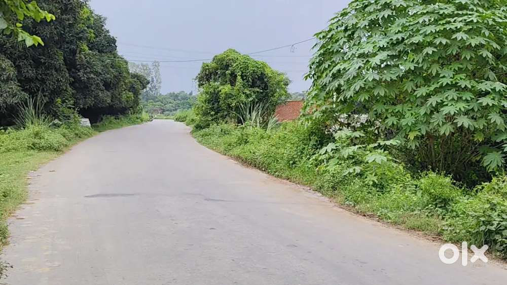 अस्पताल, स्कूल या इंस्टिट्यूट बनाने के लिए बढ़िया प्लॉट हैं ऑन हाईवे