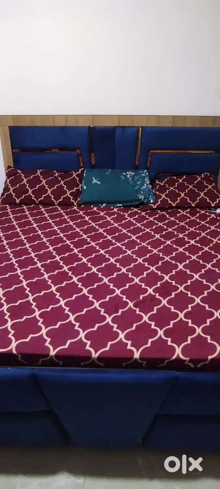 Flat for Rent 2BHK furnished near JDA Park in Patrakaar Colony, Jaipur