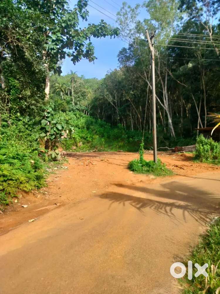 45 cent at aruvippuram