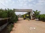 North west corner plot at Wood i land Amleshwar