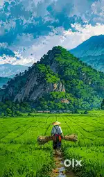 I am a Post graduate with Hindi literature