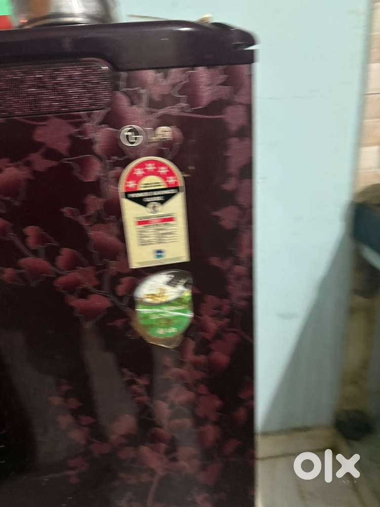 LG Fridge single door