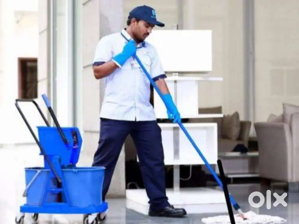 Housekeeping Boy की आवश्यकता है in Gurgaon.