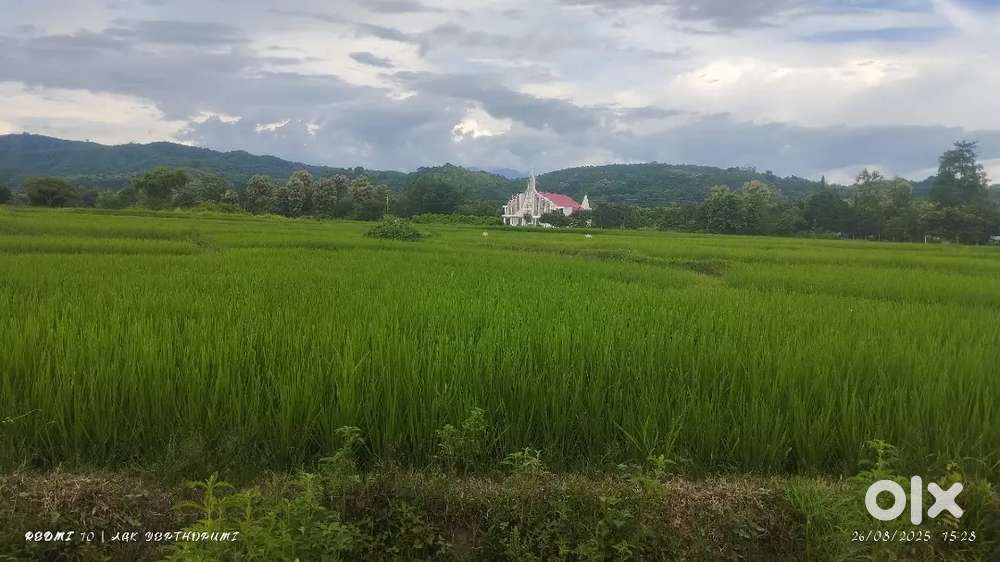 Land for sale