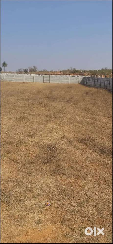 Prime Farm Land for Sale in Pollepalli, Jadcherla