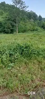 Land 4000sqft