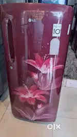 Lg inverter fridge available