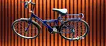 Magma victor cycle without gear.Price negotiable.