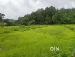 5 acers plot sell in Anjanari , Near Pali village (Tal- Ratnagiri)