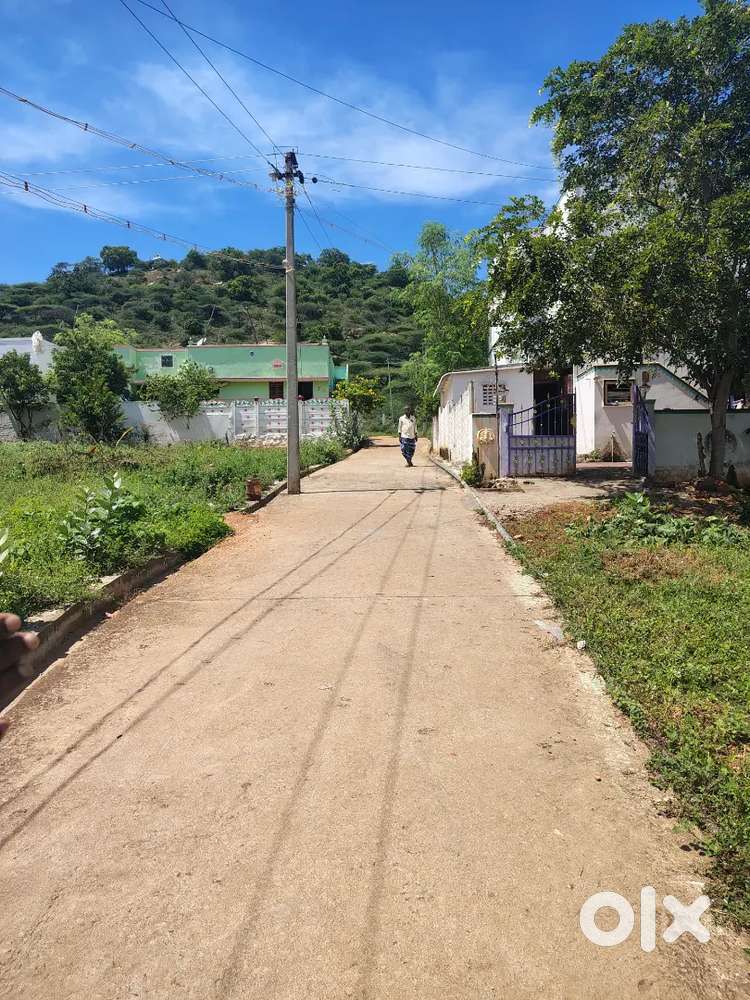 Land sale Old Batlagundu