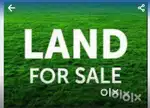 48 Cent Plot for building House