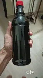 Forest Honey