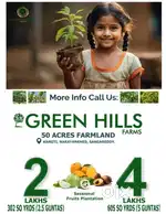 Farm plots for sale narayankhed