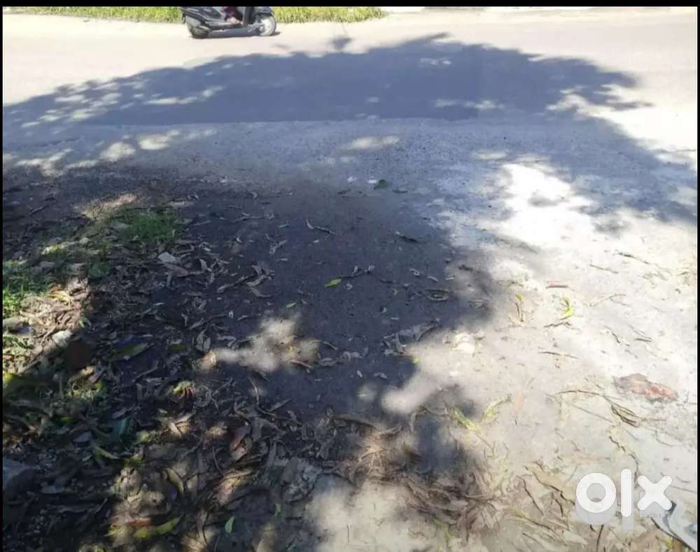 20cent roadside plot for sale in vayyanam near Ayoor ,Kadakkal Anchal.