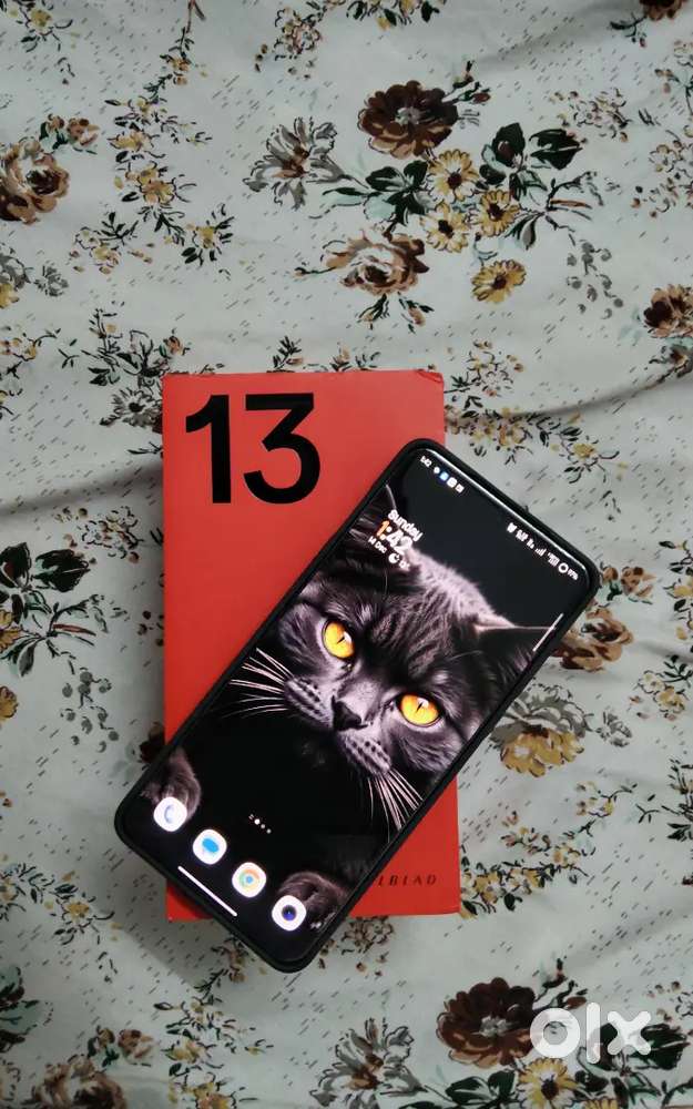 Oneplus 13 (IN WARRANTY)