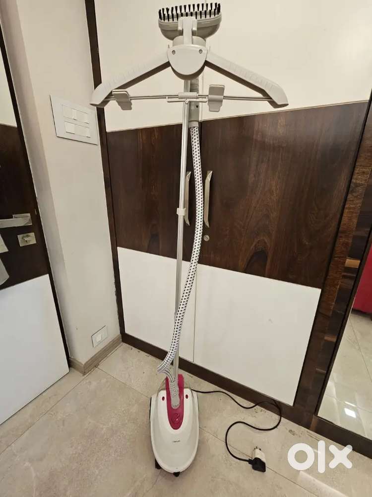 Havells steam iron