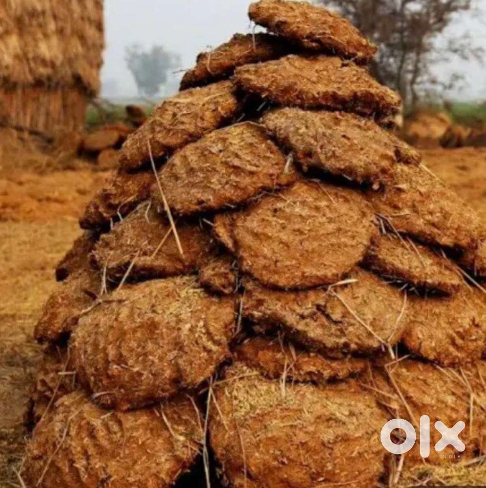 Upple Big size 15rs per pcs