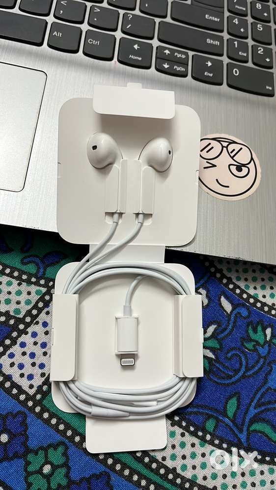 Apple earbuds one month old lightning cable