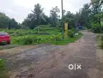 3&4,5 More Cent Aluva Thattampady House Plots Tar Road Frontage