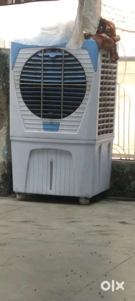 Cooler 1 year old mit condition
