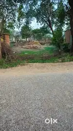 13dismil Aadiwasi registery plot sale krna hai 80000 per dismil