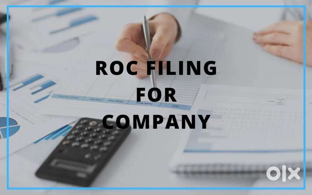 ROC Filings & Other Services