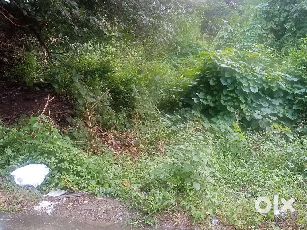 Plot for sale direct from owner