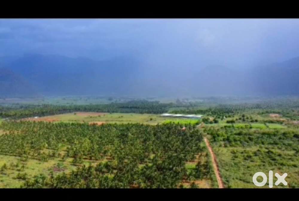 315 acres near palani Farm land for sale