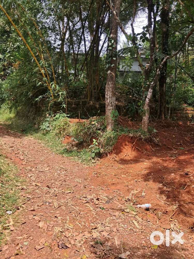 കീഴൽ സൗത്ത്  8.50  സെന്റ് സ്ഥലം വിൽപ്പനയ്ക്ക്