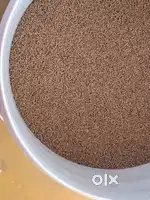 Aquarium Feed for sale